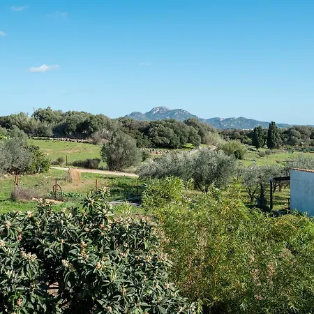 Calyra By Klodge * Olbia