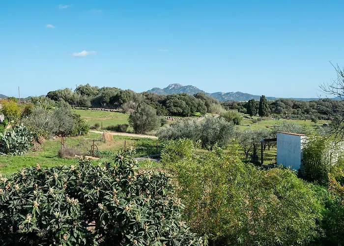 Calyra By Klodge * オルビア